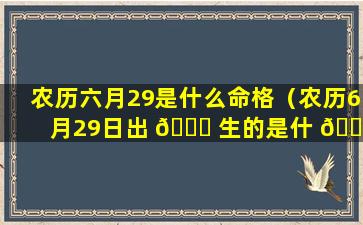 农历六月29是什么命格（农历6月29日出 🐒 生的是什 🐦 么）